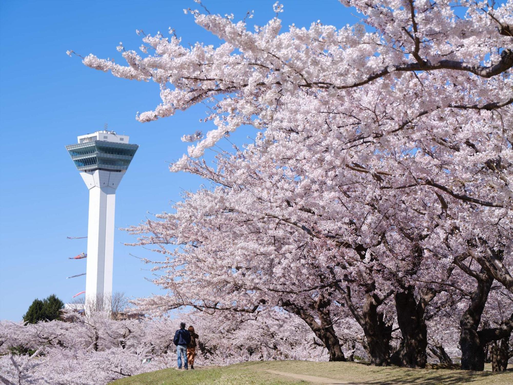 Gran Palette Hakodate Exterior foto